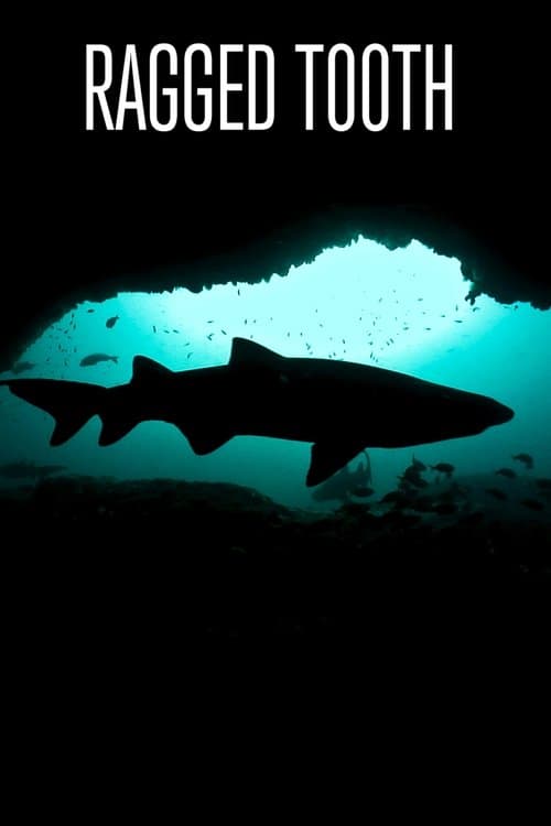 Ragged Toothのポスター
