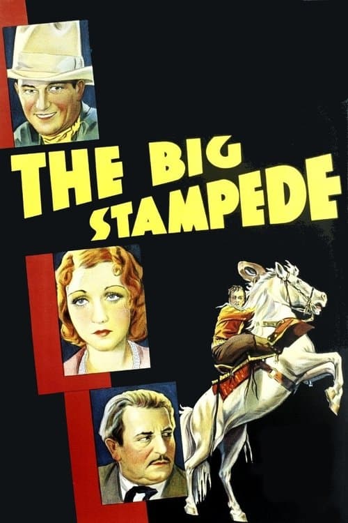 The Big Stampedeのポスター