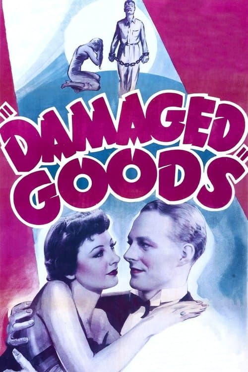 Damaged Goodsのポスター