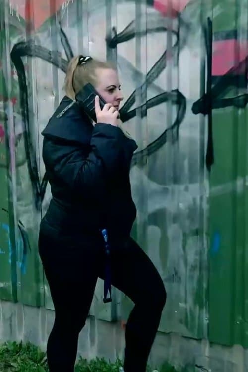 Flicka söker hundのポスター