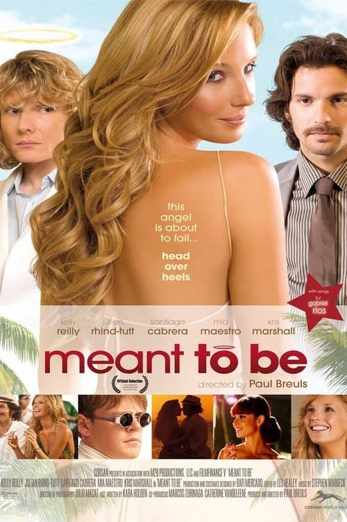 Meant To Beのポスター