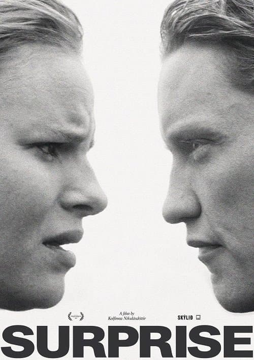 Óvissuferðのポスター