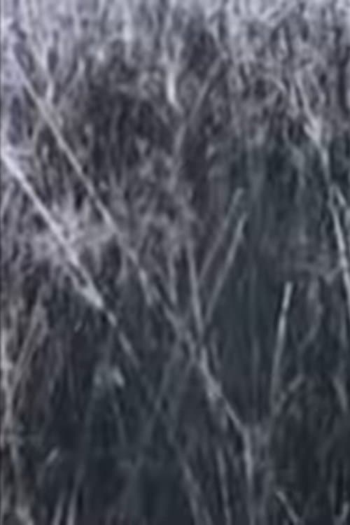 Người Về Đồng Cóiのポスター