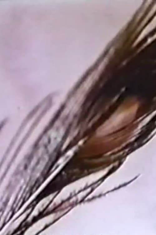 Sexual Meditation: Faun's Room, Yaleのポスター