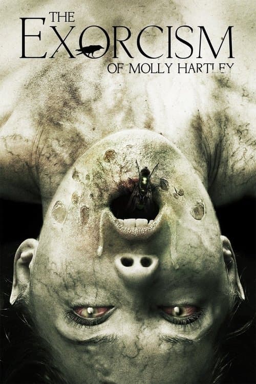 The Exorcism of Molly Hartleyのポスター