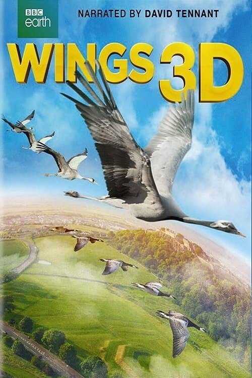 Wings 3Dのポスター