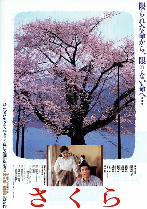 さくらのポスター