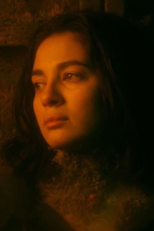 Comme la neige au printempsのポスター