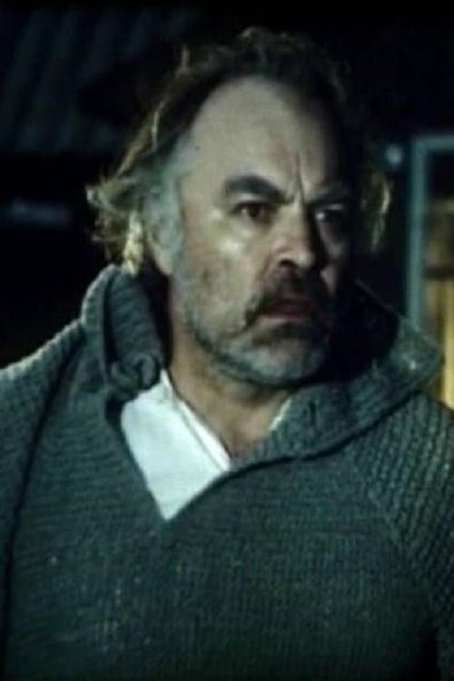 Pulmapiltのポスター