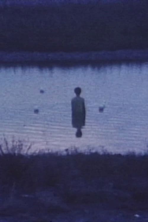 水星のポスター