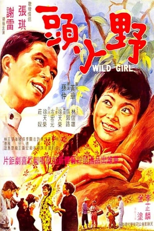 野丫頭のポスター