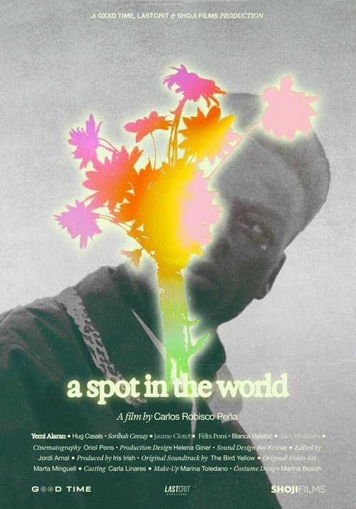 A Spot in the Worldのポスター