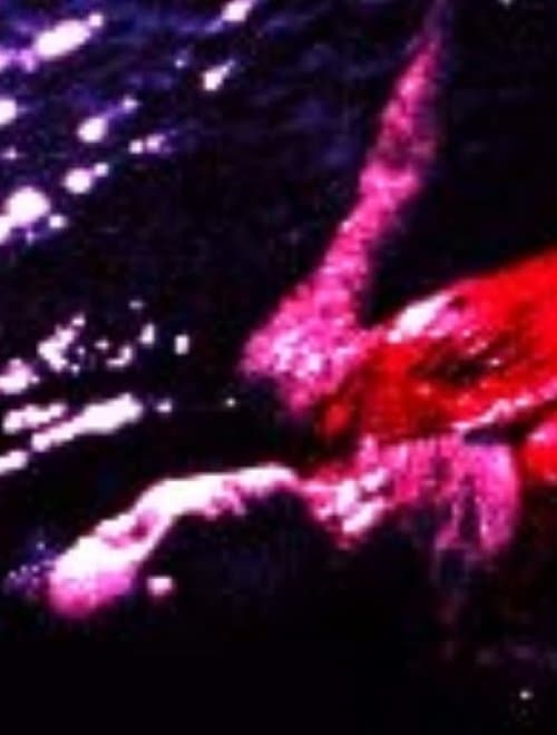 サルビア姉妹のポスター