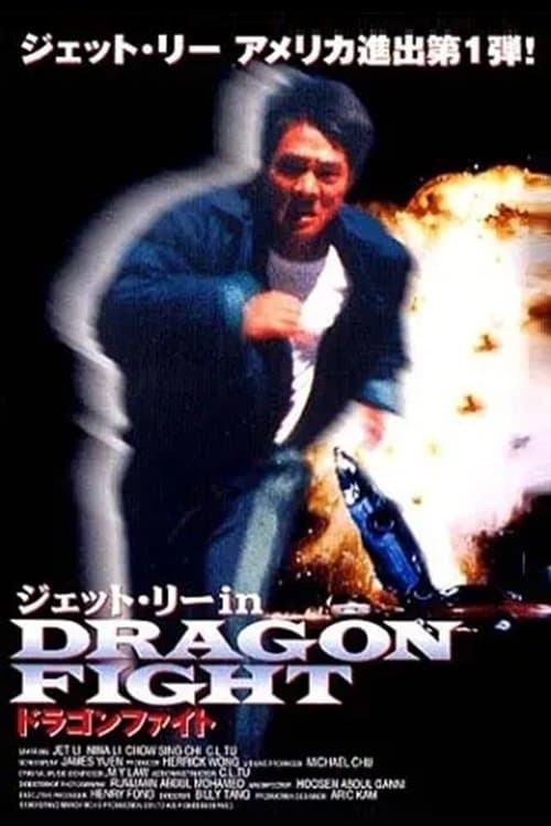 ドラゴンファイトのポスター