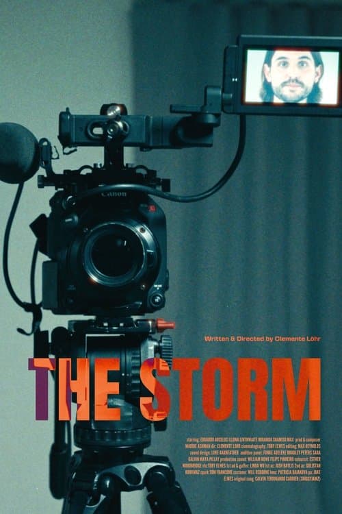 The Stormのポスター