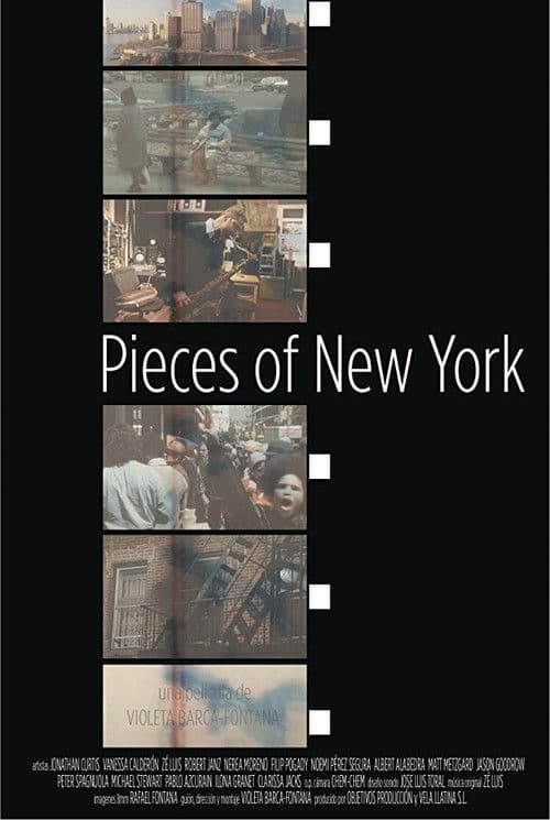 Pieces of New Yorkのポスター