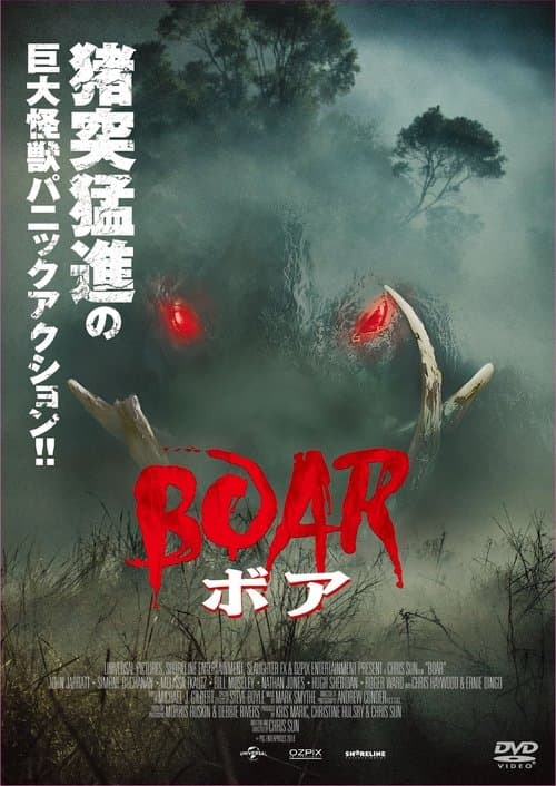 Boarのポスター