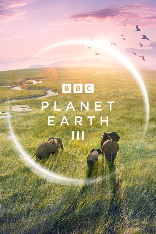 Planet Earth IIIのポスター