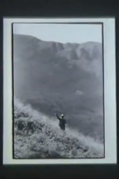 Pig Earthのポスター