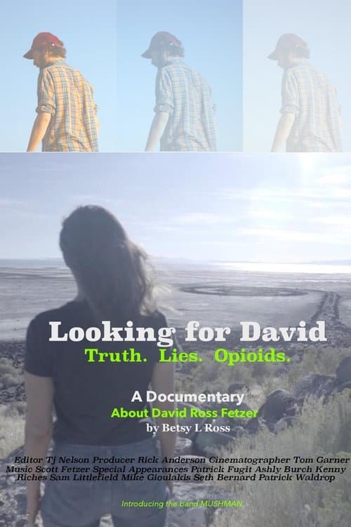 Looking for Davidのポスター