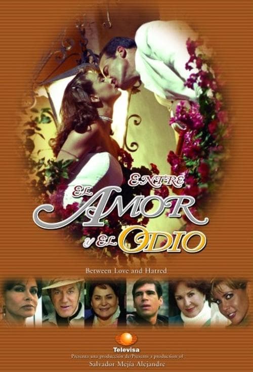 No Limite da Paixãoのポスター