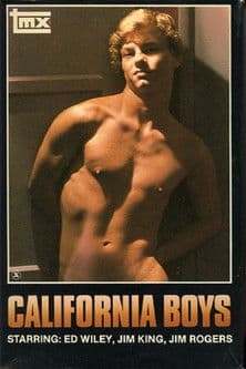 California Boysのポスター