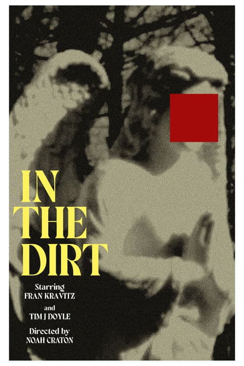 In the Dirtのポスター