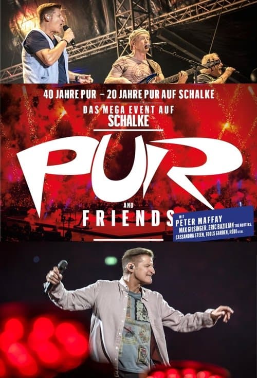 40 Jahre PUR – Der Konzertfilmのポスター