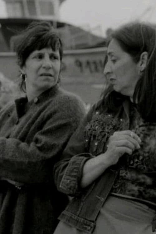 As Gaivotas Cortam o Céuのポスター