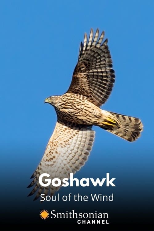 Goshawk - Soul of the Windのポスター