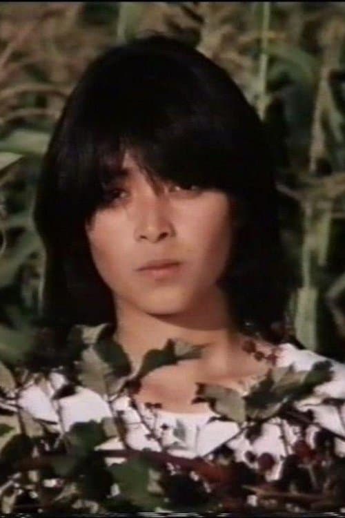 The Fascinationのポスター