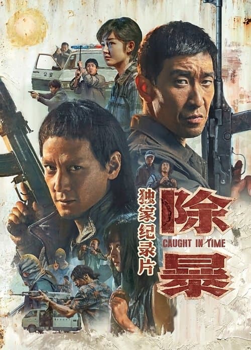 除暴·独家纪录片のポスター