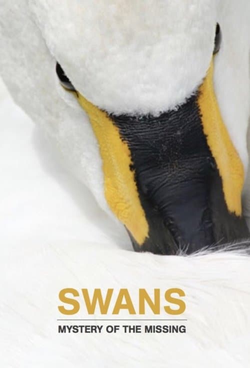 Swans: Mystery of the Missingのポスター