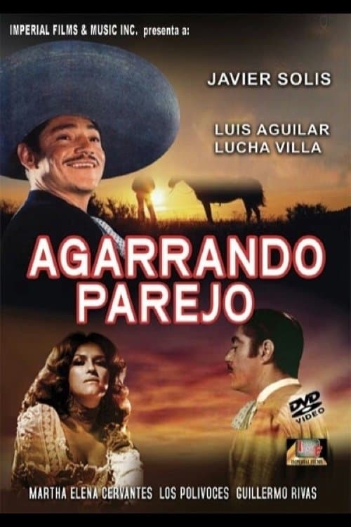 Agarrando parejoのポスター