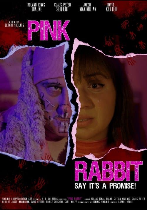 Pink Rabbitのポスター