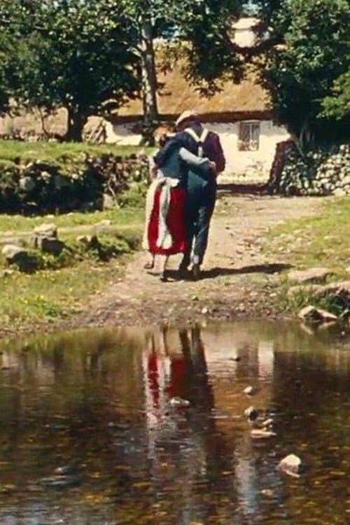 Muide Éireのポスター