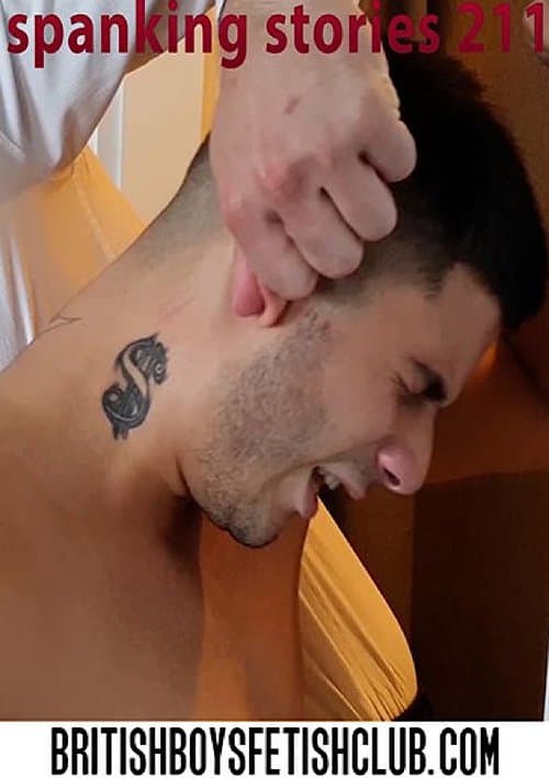 Spanking Stories 211のポスター
