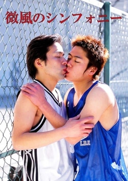 微風のシンフォニーのポスター