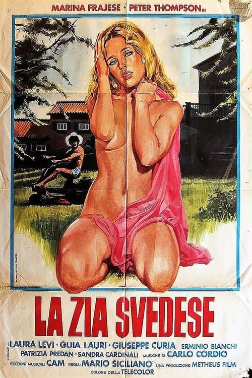 La zia svedeseのポスター