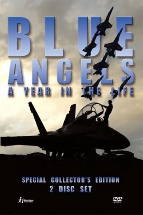 Blue Angels: A Year in the Lifeのポスター
