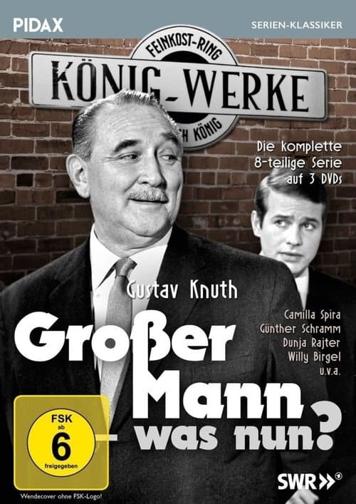 Großer Mann, was nun?のポスター
