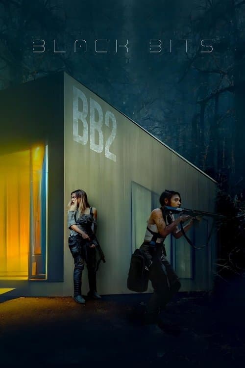 Black Bitsのポスター