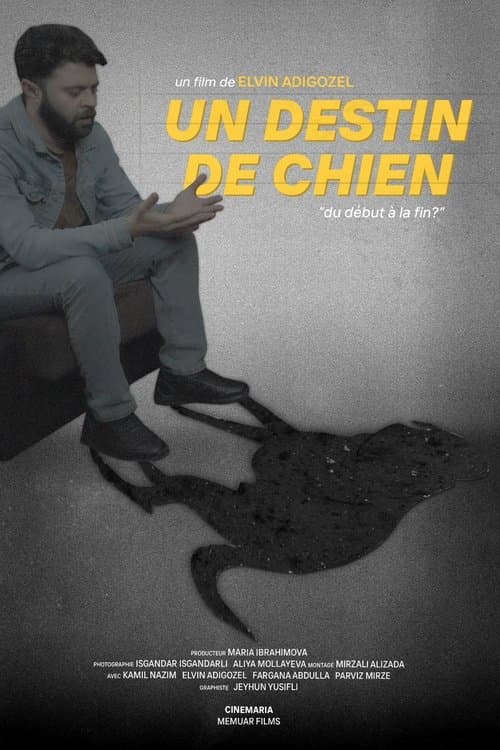 Bir İtin Taleyiのポスター