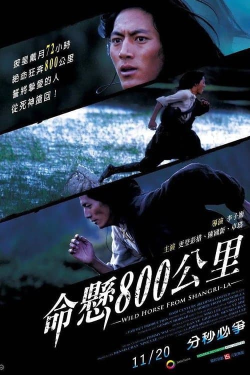 命悬800公里のポスター