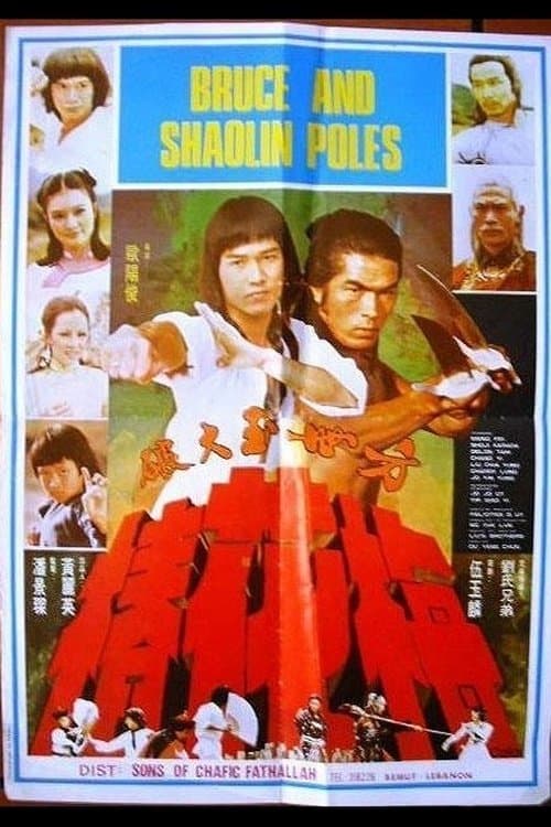 Fang Shi Yu da po mei hua zhuangのポスター