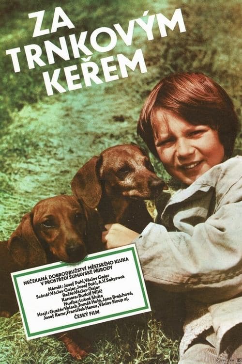 Za trnkovým keřemのポスター