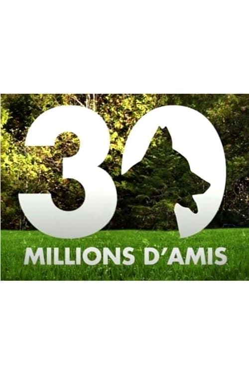 30 millions d'amisのポスター