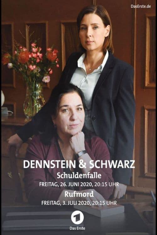 Dennstein & Schwarz - Pro bono, was sonst!のポスター