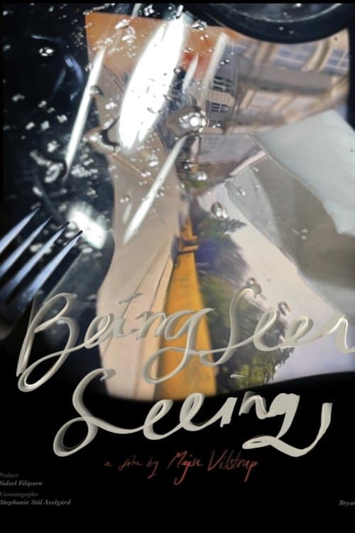 Being Seen Seeingのポスター