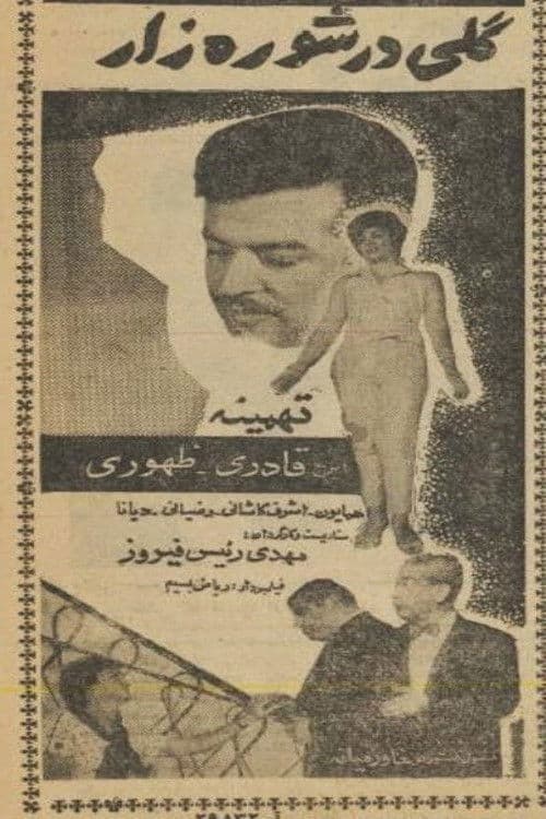 گلی در شوره‌زارのポスター